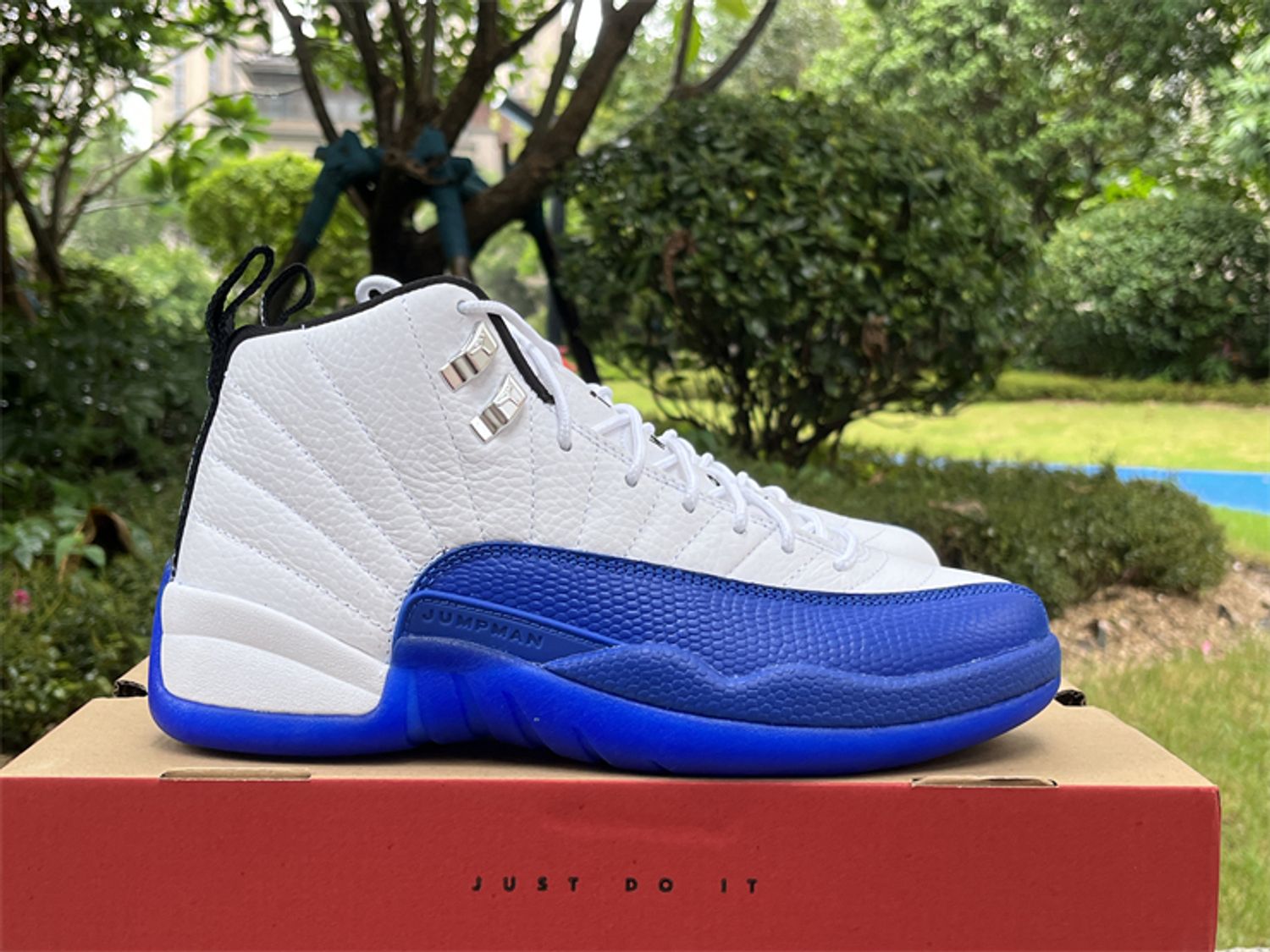 Air Jordan 12 “Blueberry” 