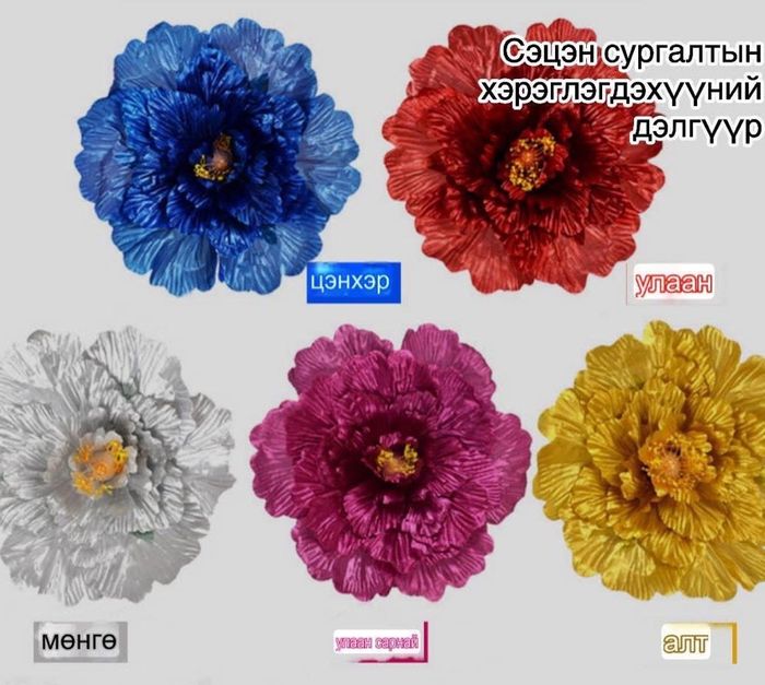 Дасгалын цэцэг 