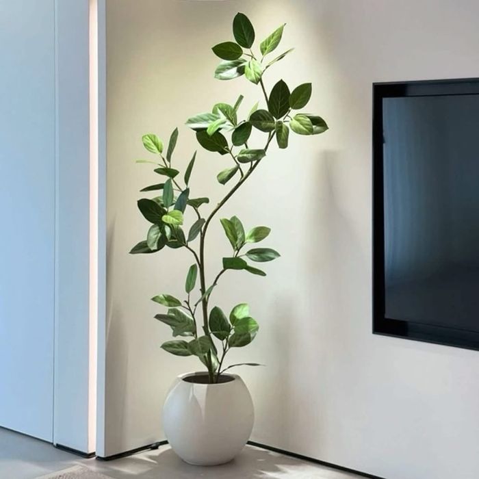 Хиймэл ургамал 