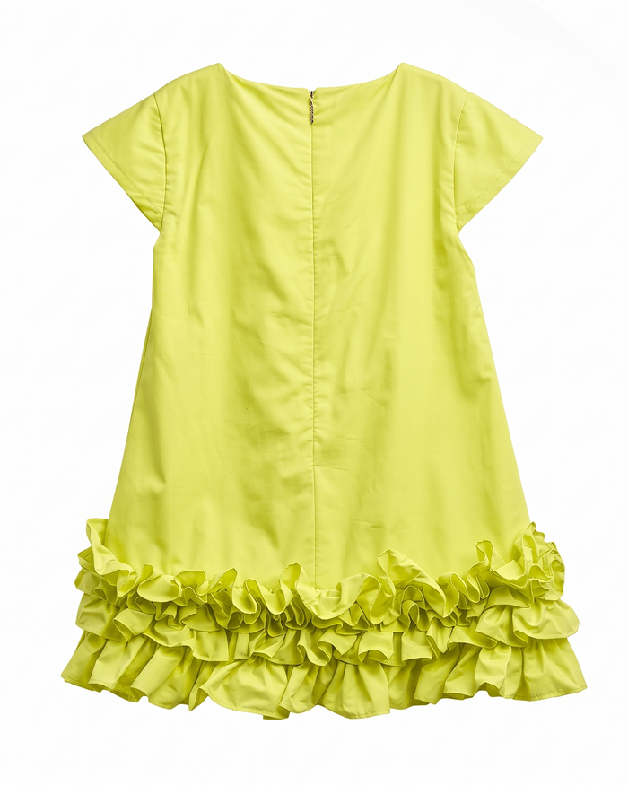 POPLIN DRESS