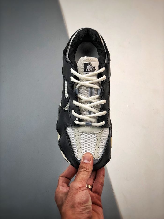 Air Zoom Vomero 5 Timeless Dunk