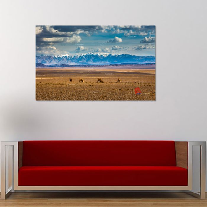 Баянцагааны нуруу