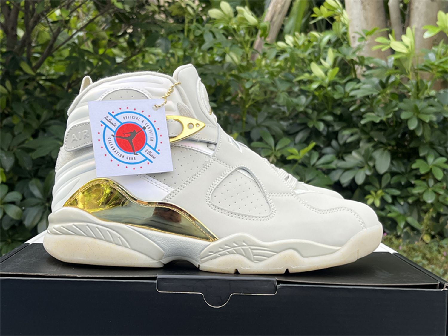 Air Jordan 8 “Championship”