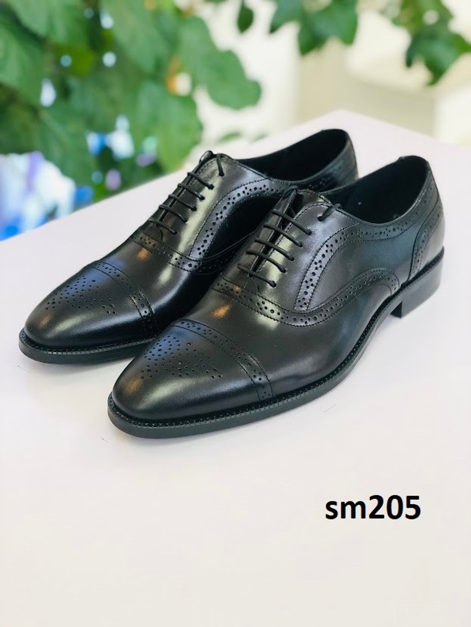 Conhpol / sm205 /