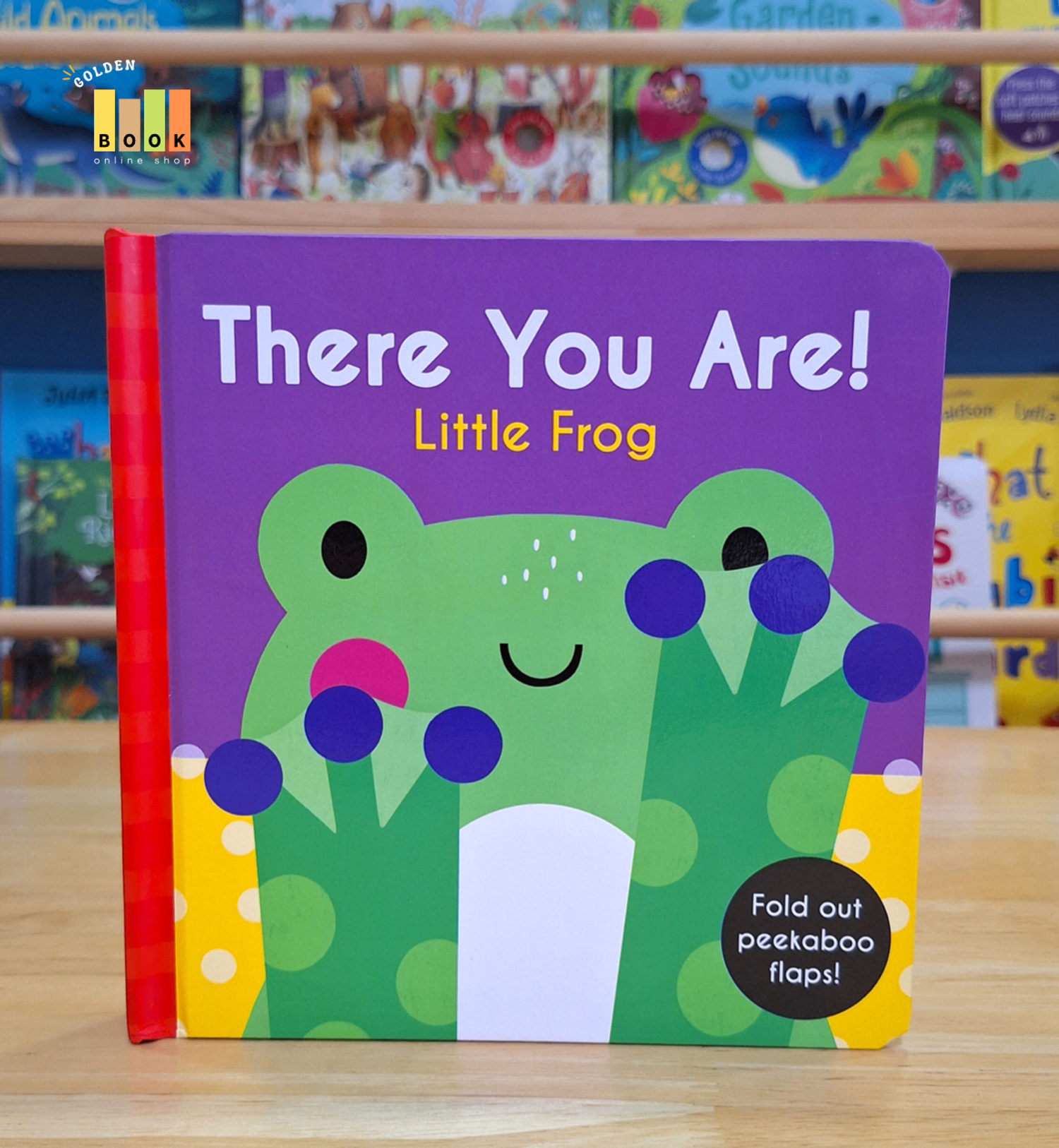 There You Are! Little Frog