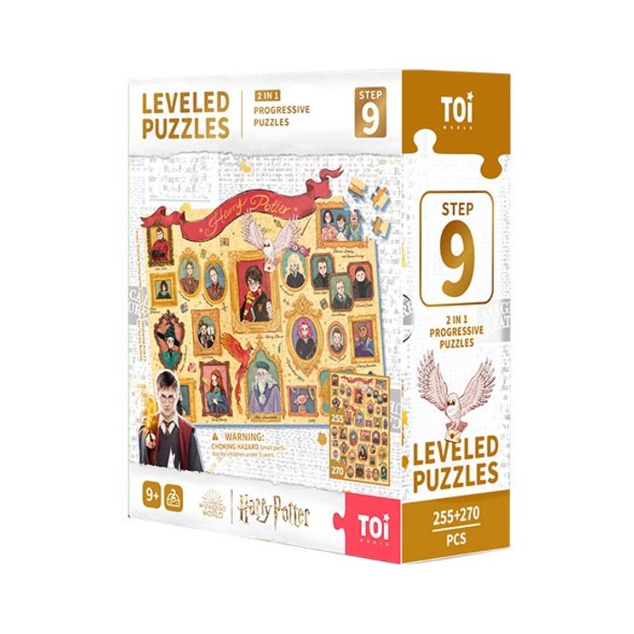 Puzzle (Harry potter)