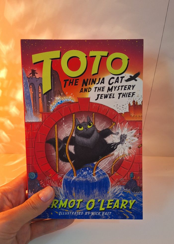 Toto the Ninja Cat 