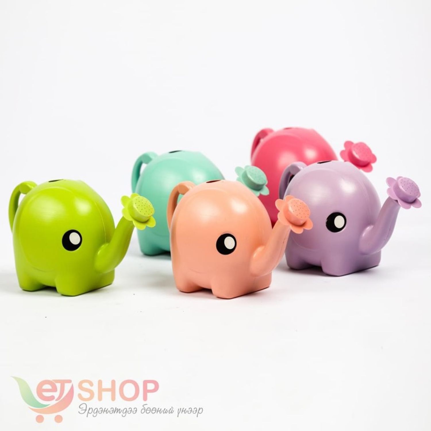 Жижиг цэцэг услагч