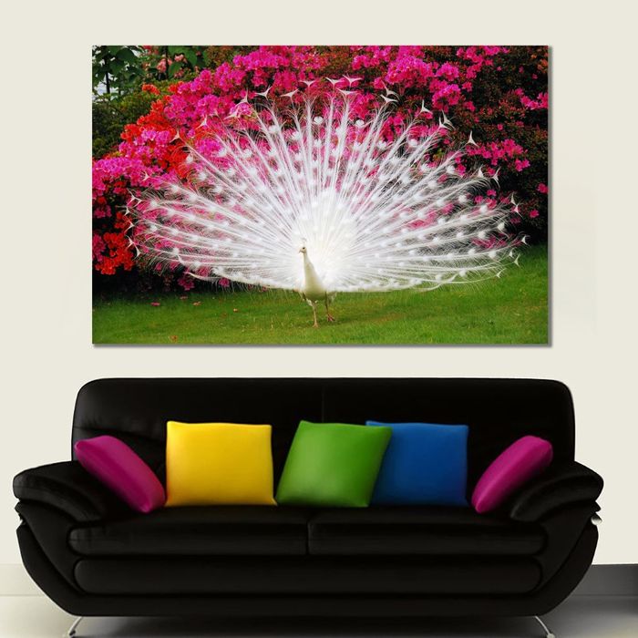 Цагаан тогос