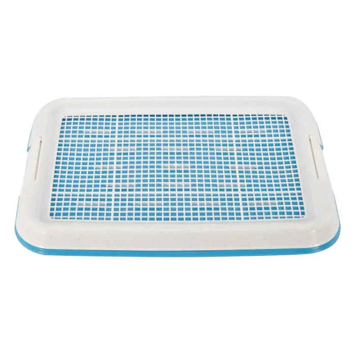 Нохойн жорлон