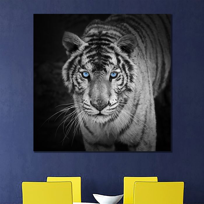 Бар /хар фонтой/