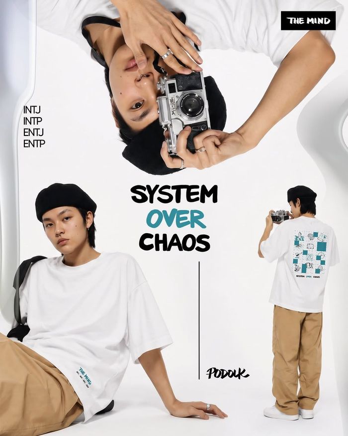 THE MIND - SYSTEM OVER CHAOS