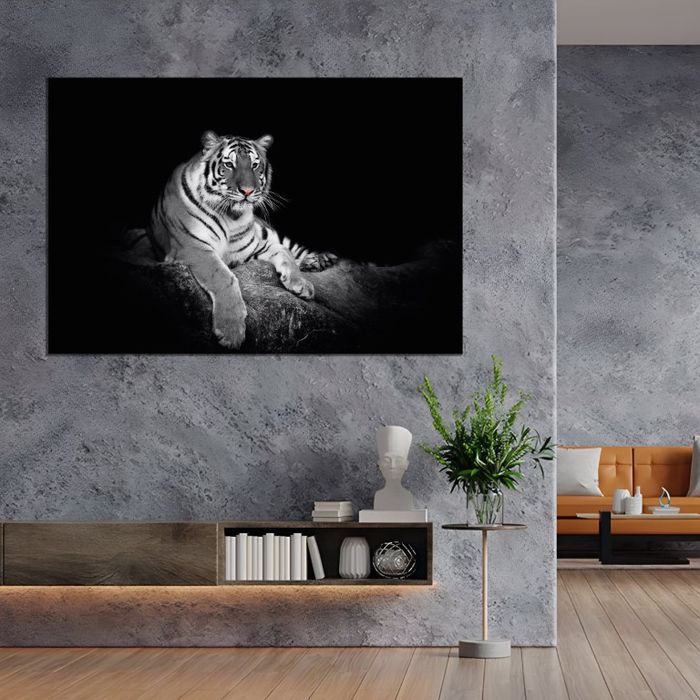 Хэвтэж буй бар /хар фонтой/