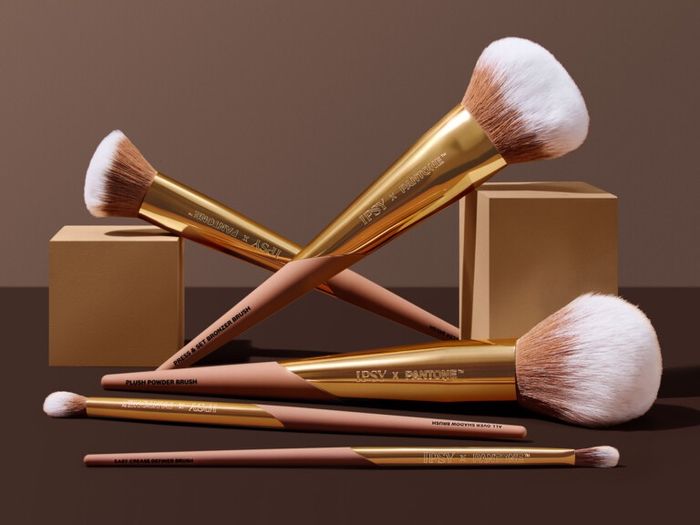 IPSY x PANTONE™ 5-Piece Makeup Brush Collection