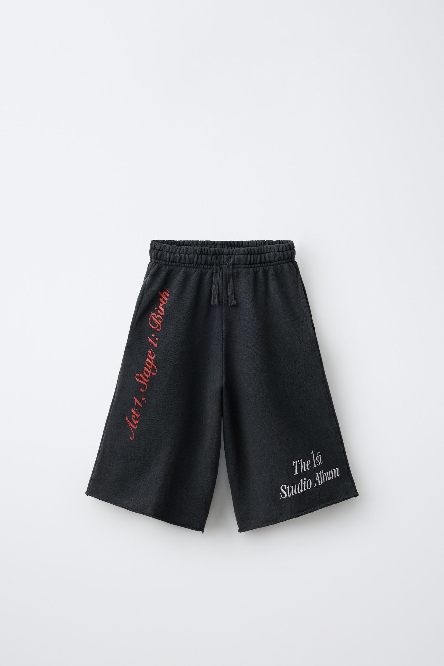 ZARA x JENNIE шорт
