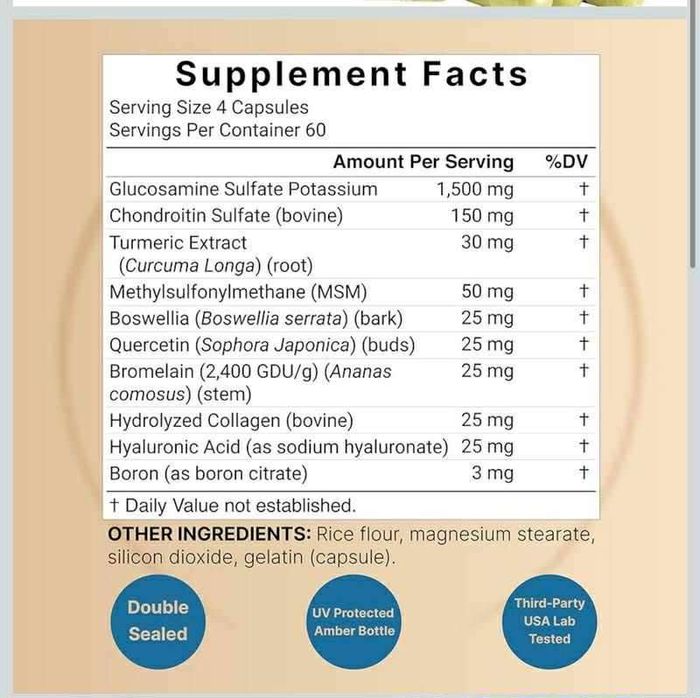  Glucosamine Chondroitin & MSM 
