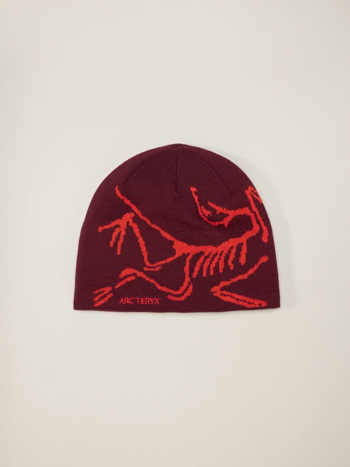Arc'teryx | Bird Head Toque   