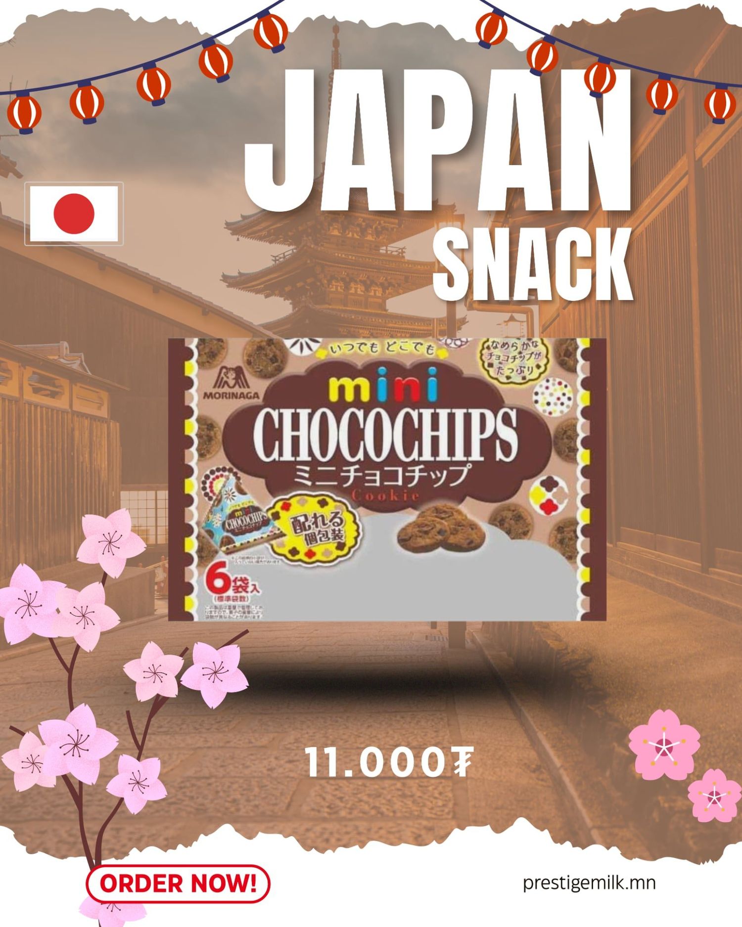 Mini Chocolate Chip Large Bag (Мини шоколдтай жигнэмэг)