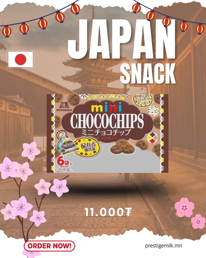 Mini Chocolate Chip Large Bag (Мини шоколдтай жигнэмэг)