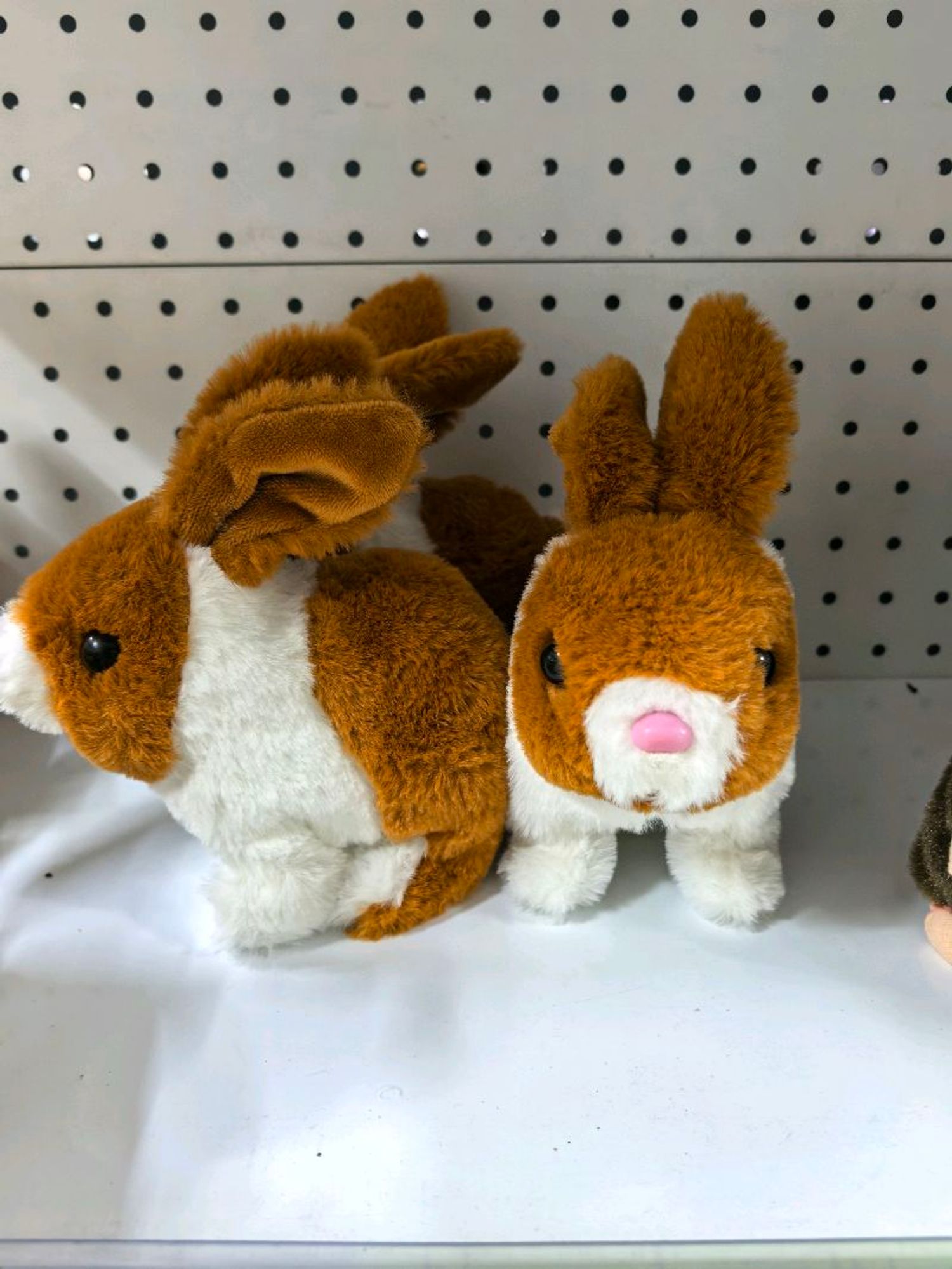 Явдаг туулай