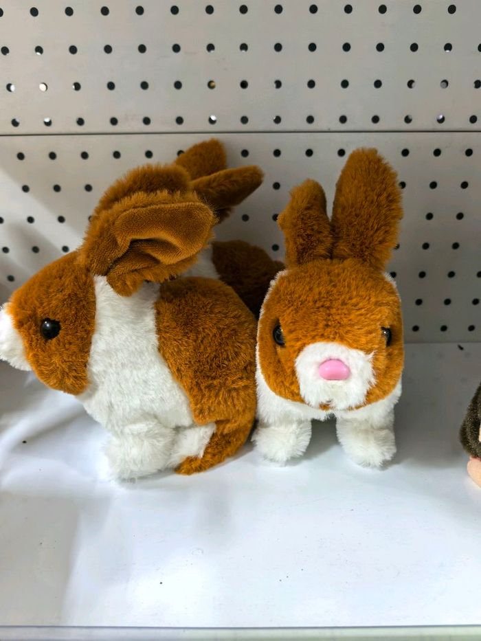 Явдаг туулай