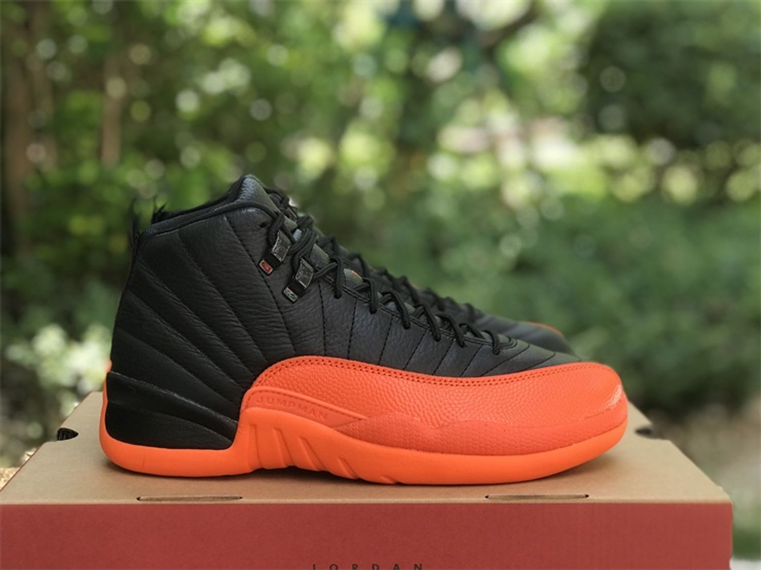 Air Jordan 12 WMNS “Brilliant Orange”