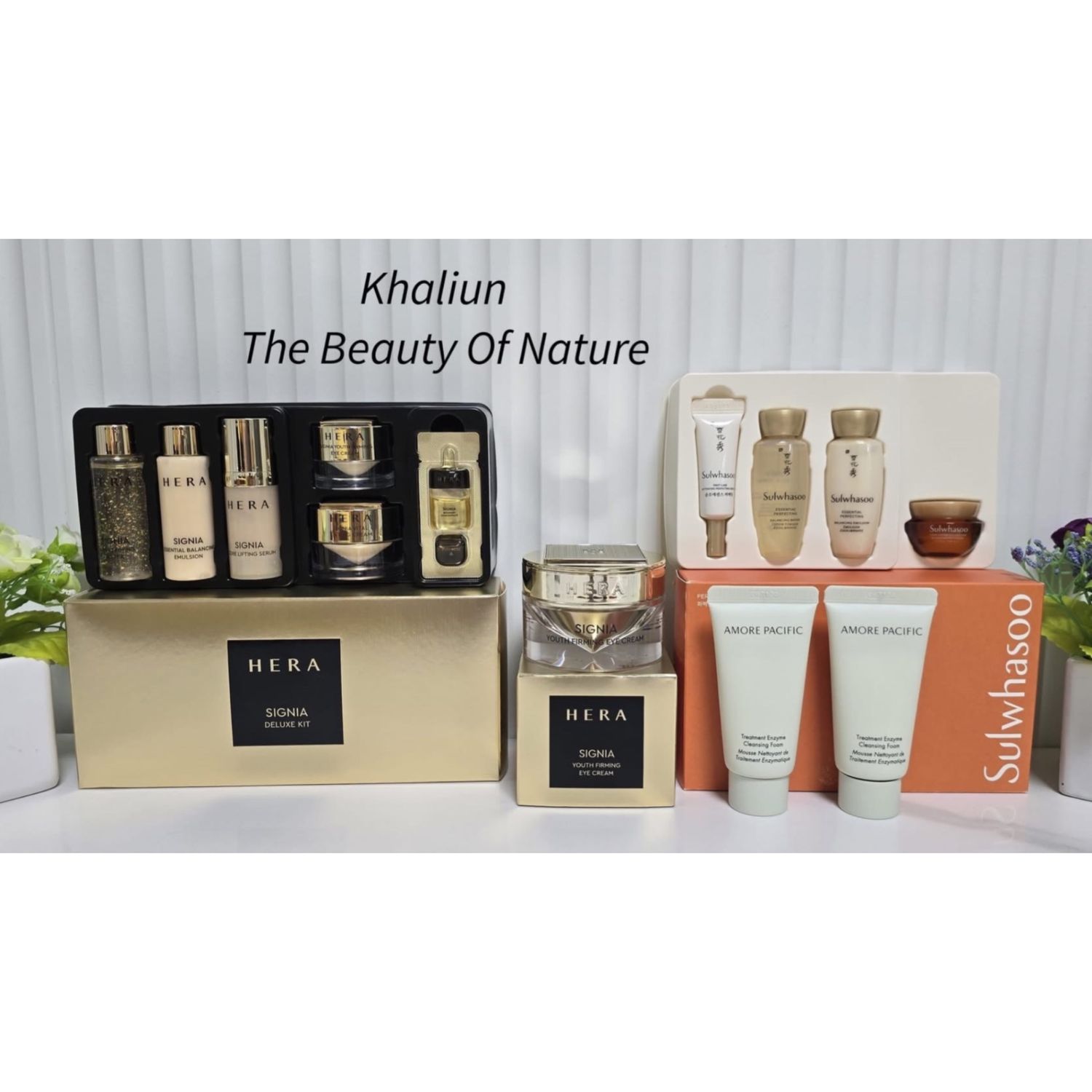 [JAN] 14K Алттай Signia Program