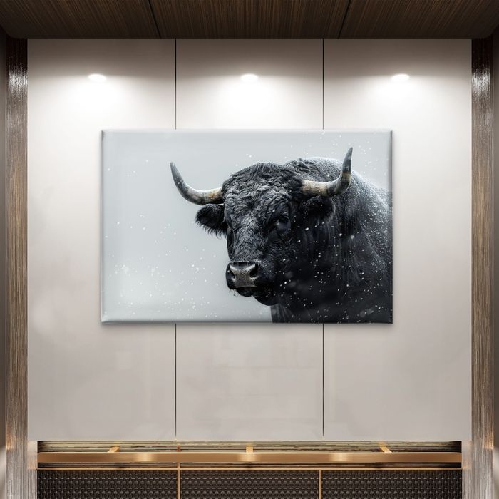 Хар бух/ фото