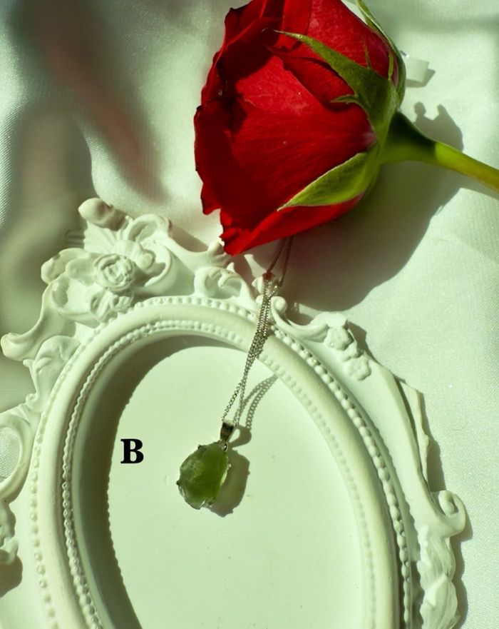 https://cdn.zochil.shop/d4af8681-01ad-447f-9fbc-088b0d7de205_t700.jpg