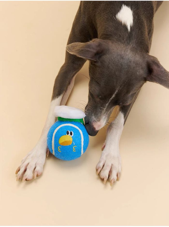 Squeaky Tennis Ball
