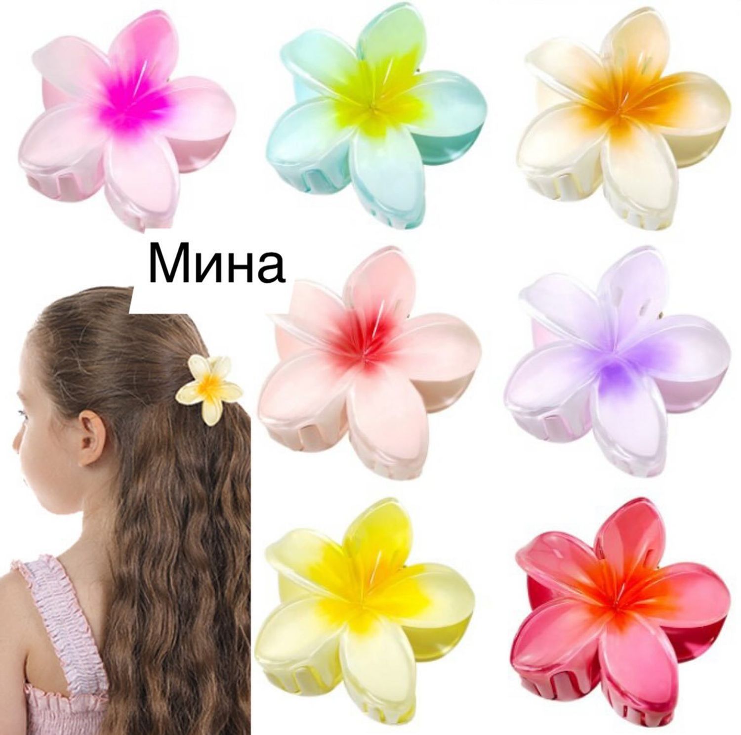 ҮСНИЙ ХАВЧААР