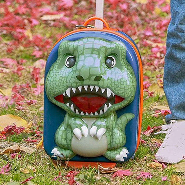 Аяллын дугуйтай цүнх DZ0090 