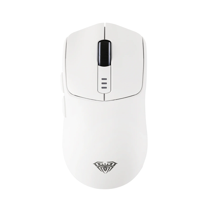Dual mouse