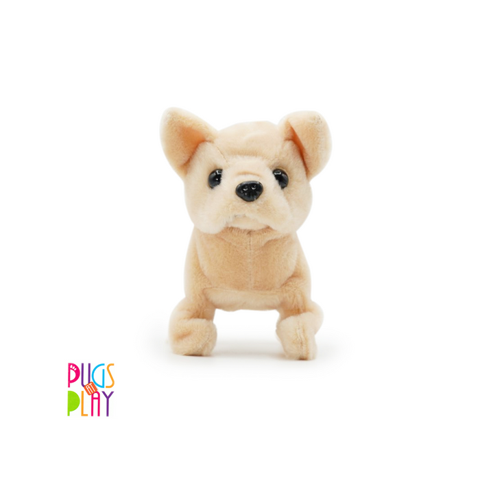 PAP Goldie Walking Dog