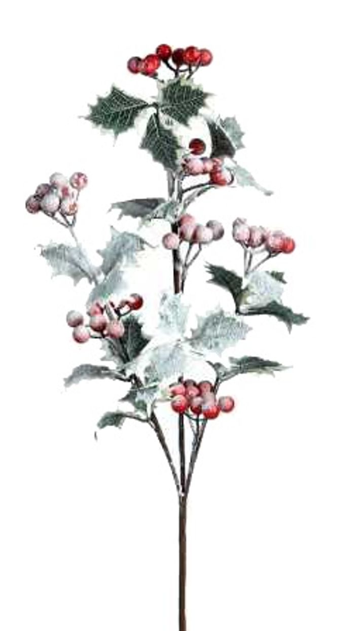 Frozen spray w/berries