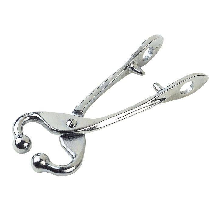 Үхрийн гинжтэй хамрын бахь 