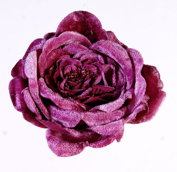  Fuchsia rose flower w/clip
