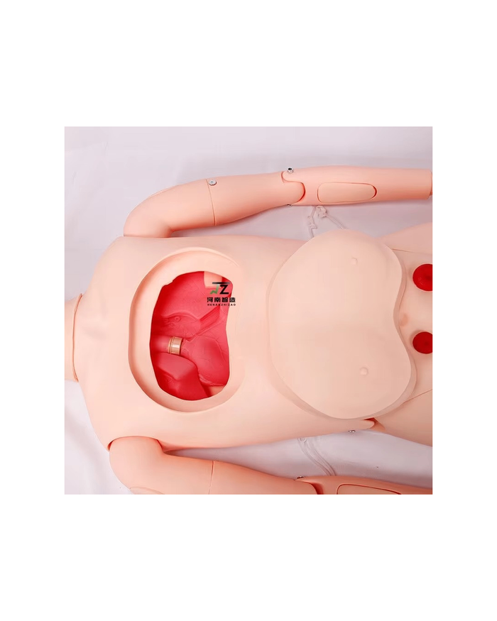 Өндөр настны бүрэн ажиллагаат манекен