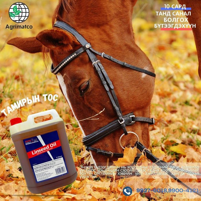 Тамирын тос 