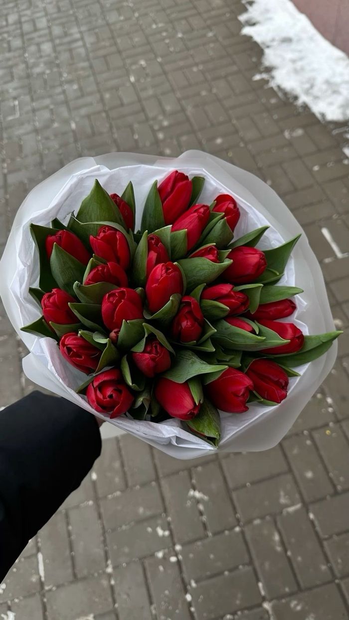 Голланд алтанзул улаан