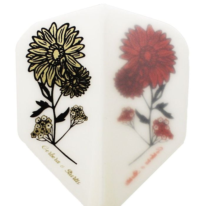 CONDOR ZERO GERBERA＆STATICE FLIGHTS - Small - Mix