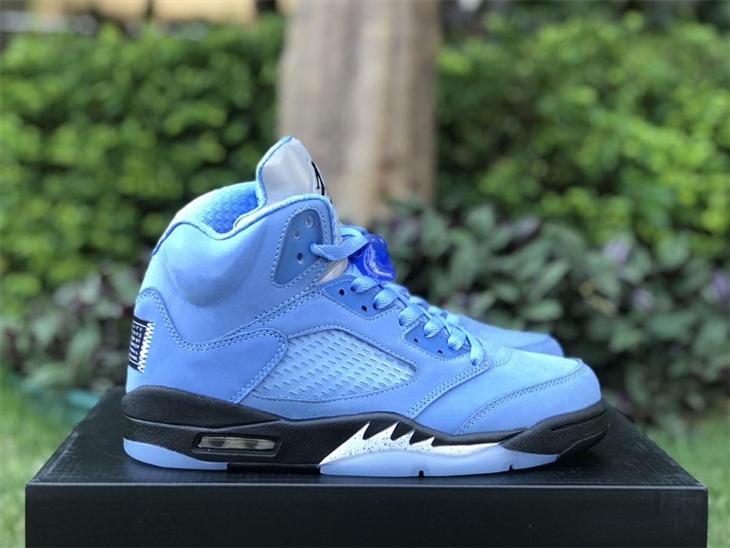  Air Jordan 5 “UNC" 