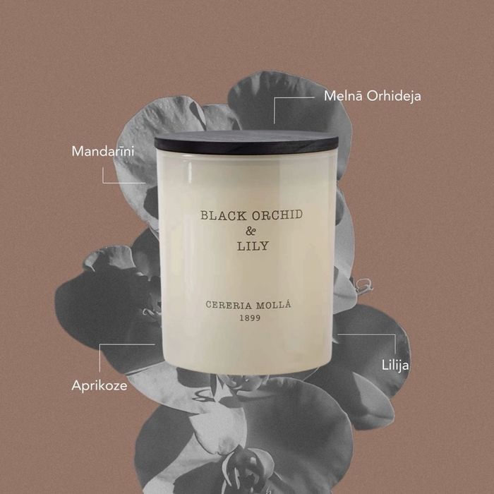 Cereria Mollá 1899 candle
