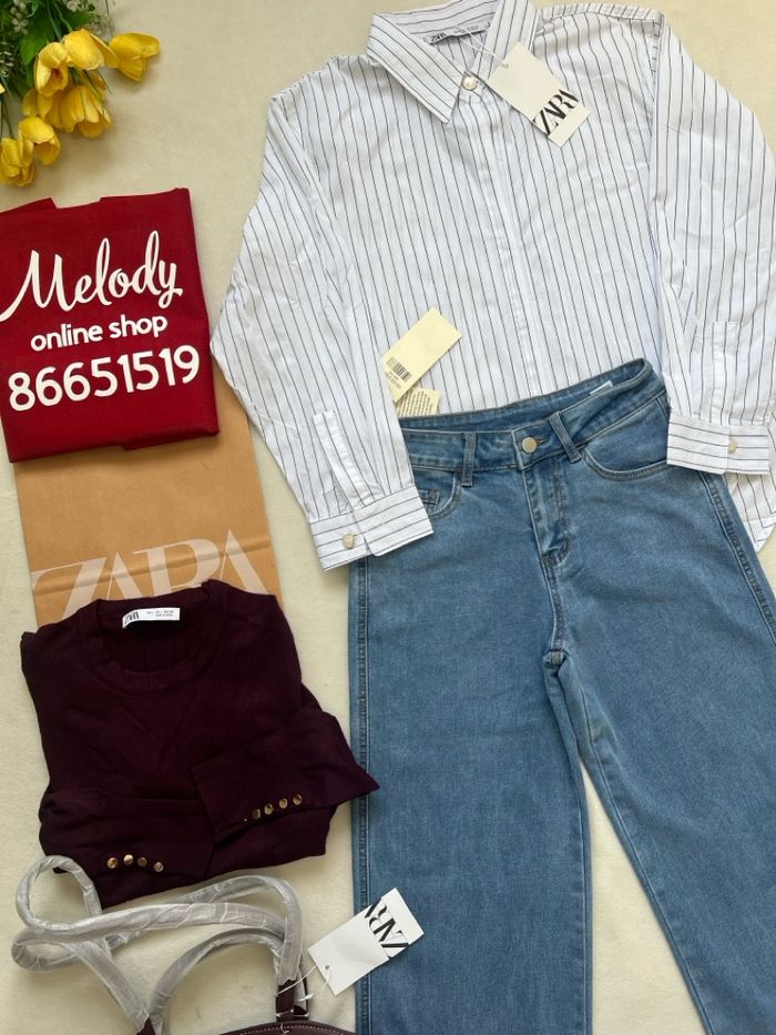  tsagaan sorochik(har sudaltai)