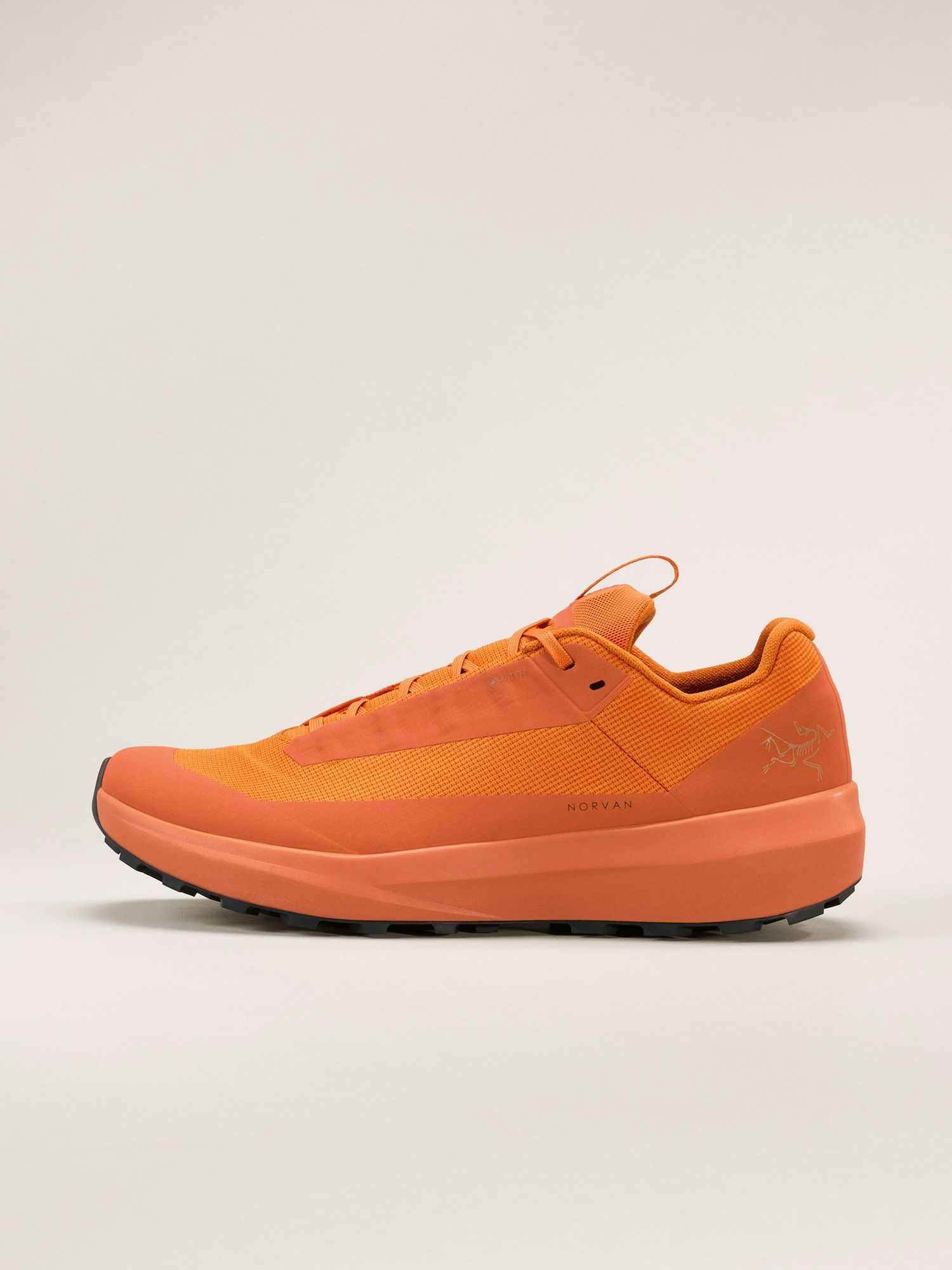Arc'teryx | Norvan LD 4 | Men | GTX 