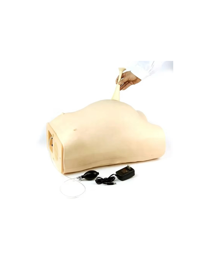 Компьютержсэн эхийн хяналтын загвар