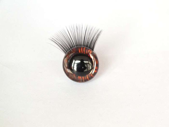 Сормуустай нүд бор 