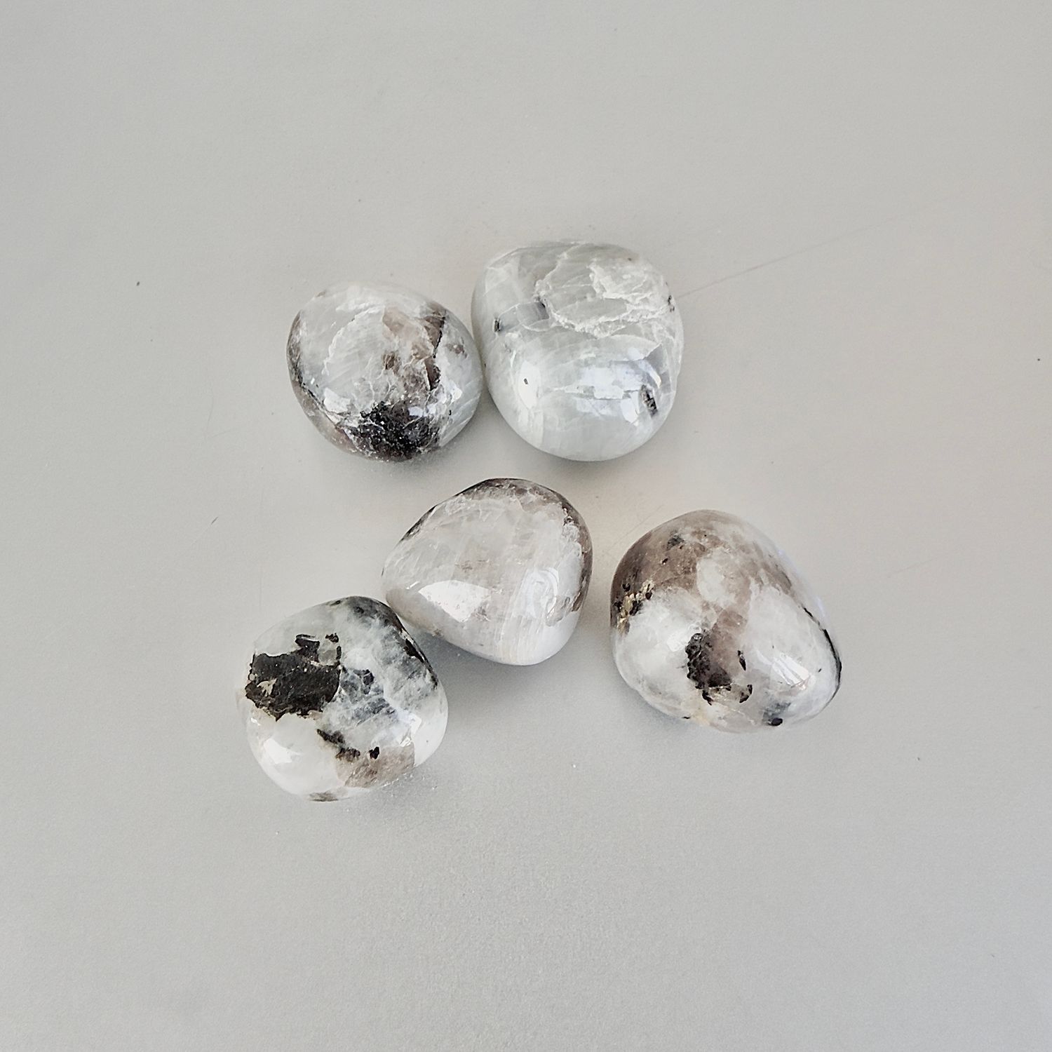 Өнгөлсөн толбот саран чулуу