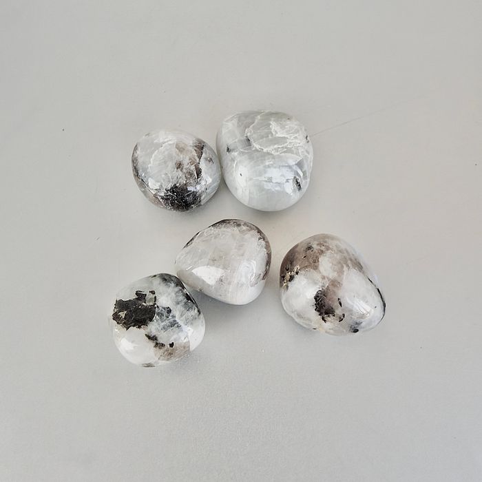 Өнгөлсөн толбот саран чулуу