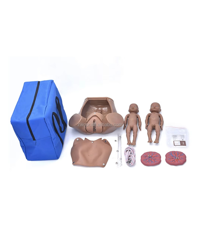 Төрөх үйл явцын цогц сургалтын загвар